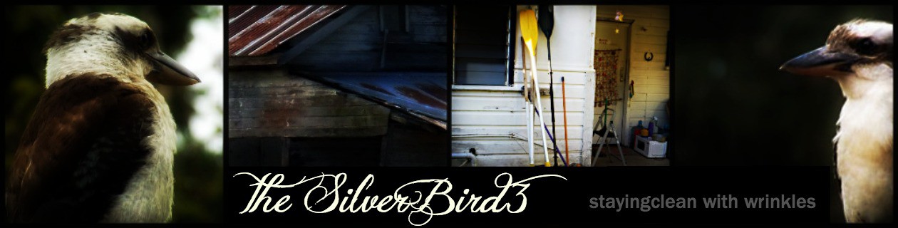 THE SILVER BIRD 3